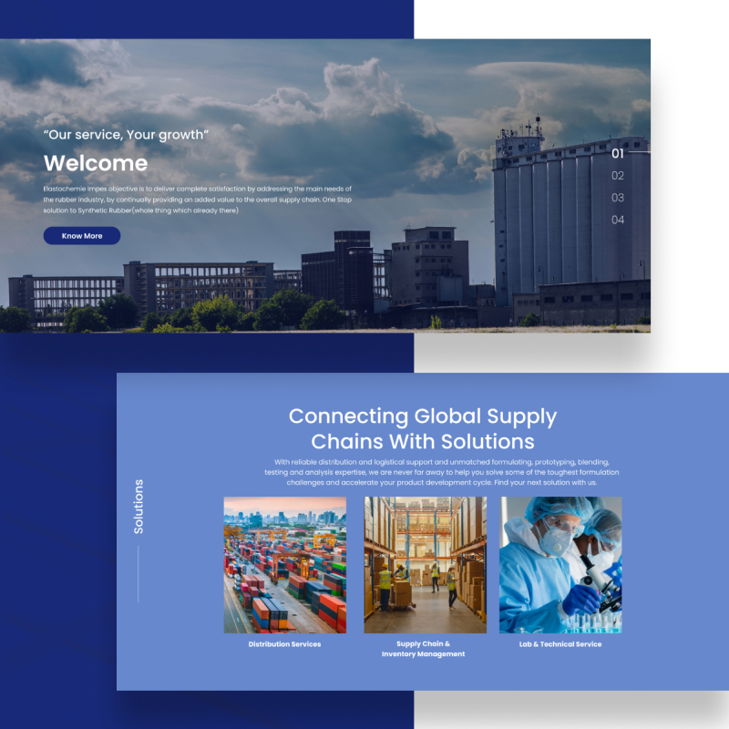Client pf CreativeWebo Case Study Mock ups of Elastochemie Website Development 